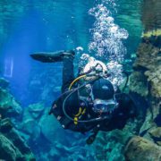 Plongeur en action, en exploration dans un beau fond sous-marin.