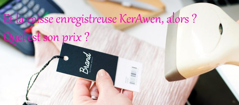 « Euh ! Pour moi ce sera de toute manière une caisse enregistreuse KerAwen... Oui ! À n'importe quel prix. »