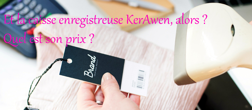 « Euh ! Pour moi ce sera de toute manière une caisse enregistreuse KerAwen... Oui ! À n'importe quel prix. »