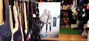 L’intérieur du magasin Horsily, sellerie équipéé du logiciel de caisse KerAwen.