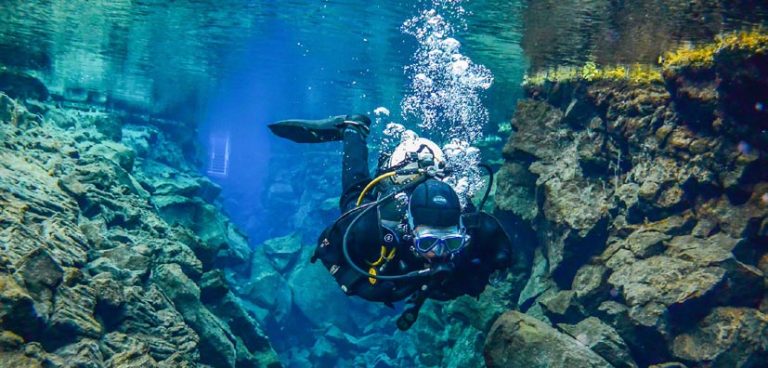Plongeur en action, en exploration dans un beau fond sous-marin.