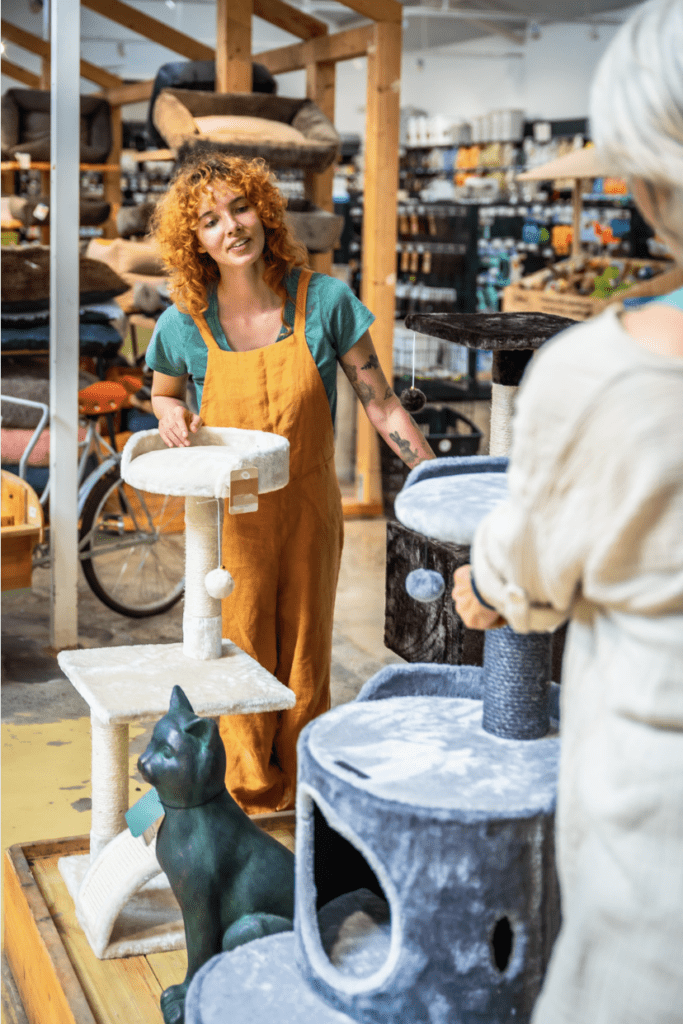 Chat dans une animalerie avec accessoires