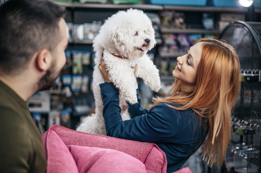 Système POS magasin d'aliments pour animaux
